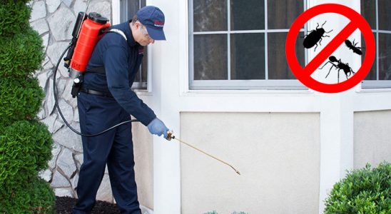 Kıbrıscık Böcek İlaçlama böcek ilaçlama ve haşere kontrolü — ilaclama-tr.com